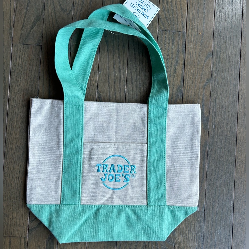 Aqua and Cream Canvas Mini Tote Bag with Sturdy Handles